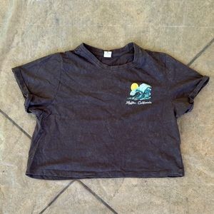 Gray Malibu Crop Top